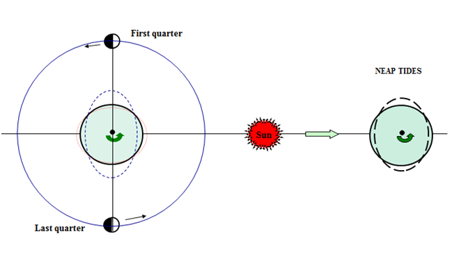 Neap tides diagram