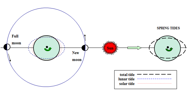 Spring tides diagram